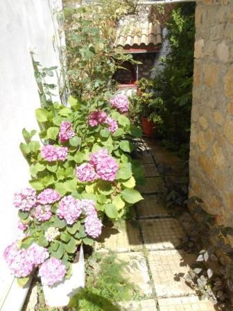 Milos * Agios Nikitas