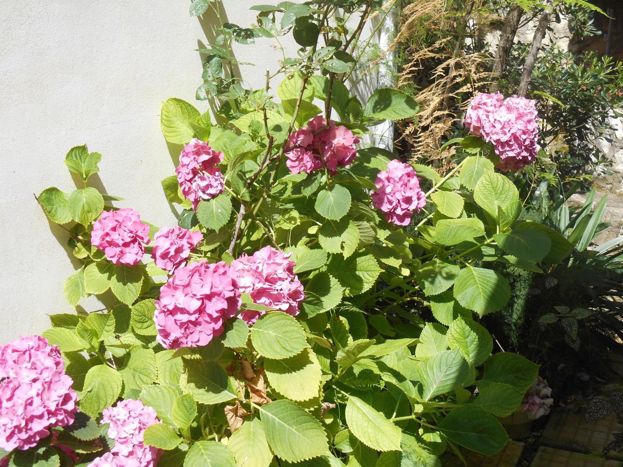 Apartment Milos Agios Nikitas